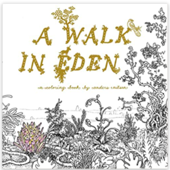 Anders Nilsen - A Walk in Eden (Coloring Book) - SC