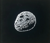 Charles Burns - Love Nest - HC