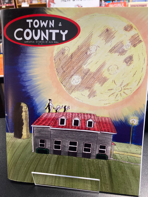 (C) Alex Nall - Town and Country #3 - Comic Book