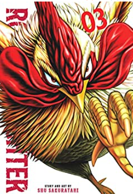 Shu Sakuratani - Rooster Fighter v3 - SC